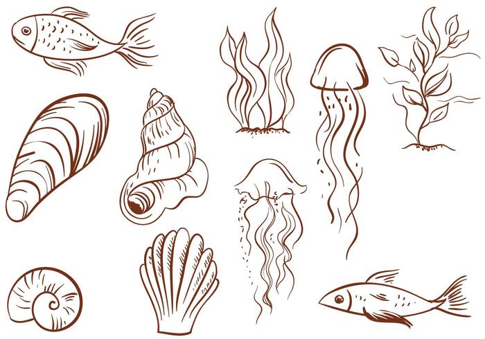 Free Vintage Sealife Vectors Free Vintage Sealife Vectors