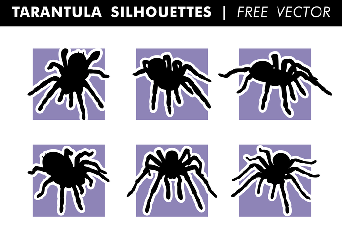 Tarantula Silhouettes Free Vector