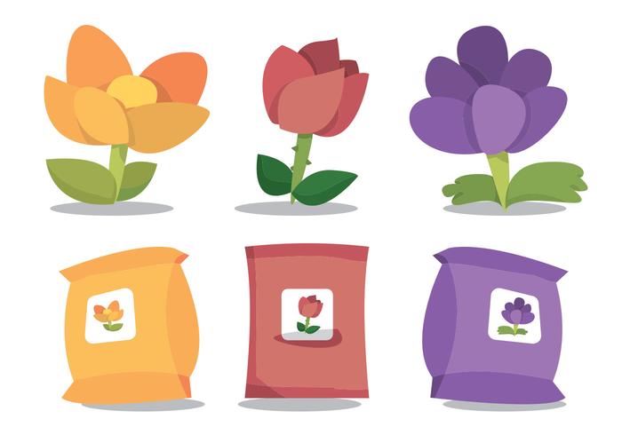Carnation Vector Set