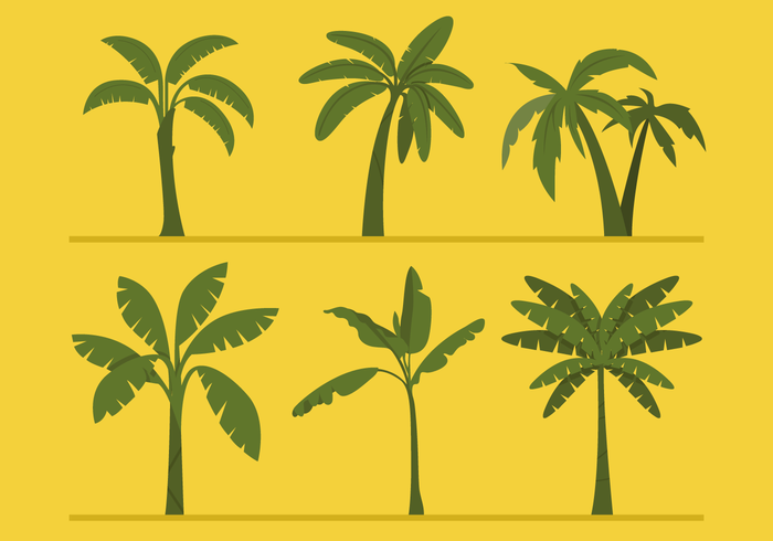 Banana Tree Vectors Banana Tree Vectors