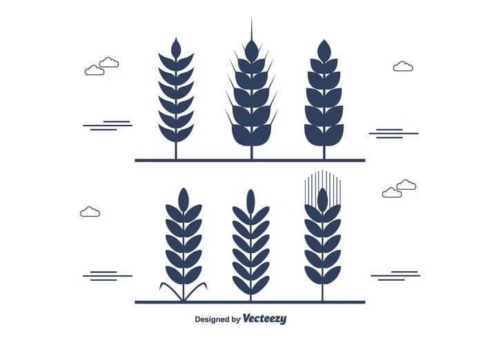 Wheat Stalk Vector