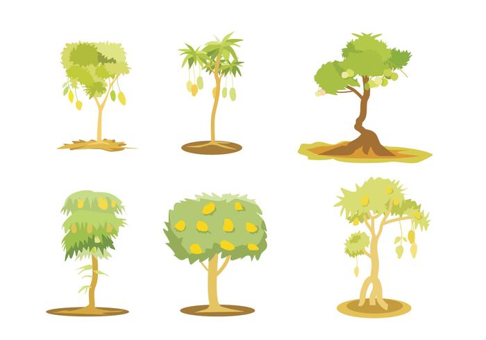 Mango árbol ilustración vectorial vector