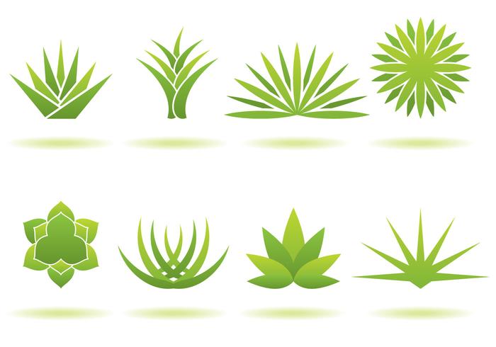 Maguey Logos vector