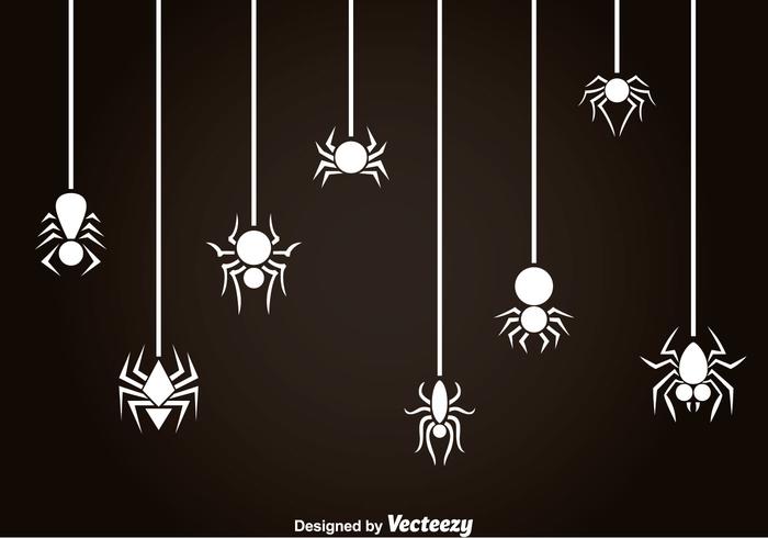 White Spider And Tarantula Vector
