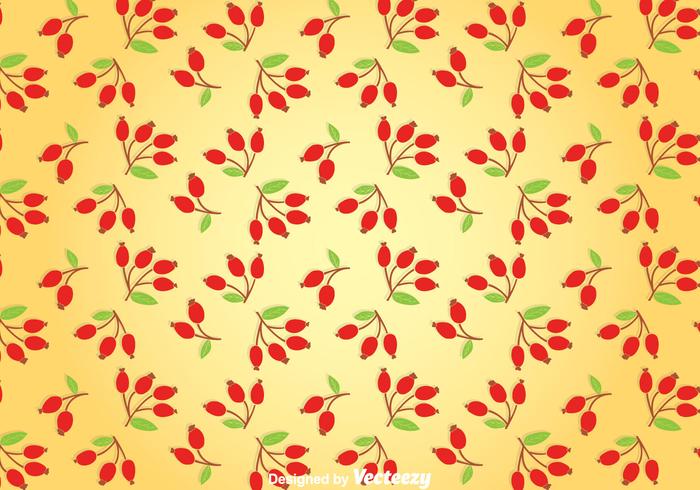 Rosehip Background vector