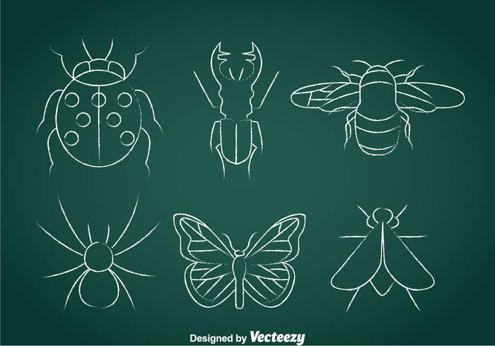 Insects Chalk Drawn Icons vector