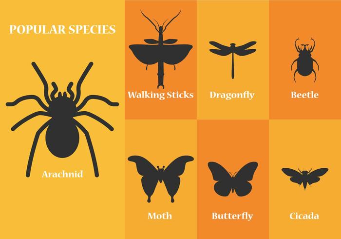 Siluetas de vectores de insectos