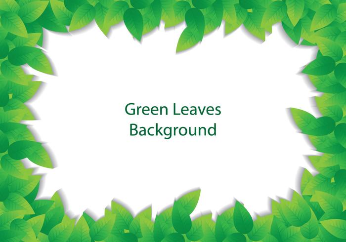 Green Leave Background vector