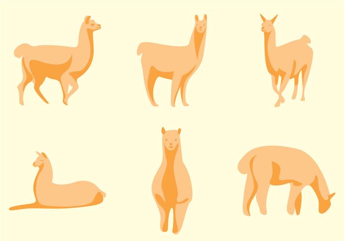 Llama Vector