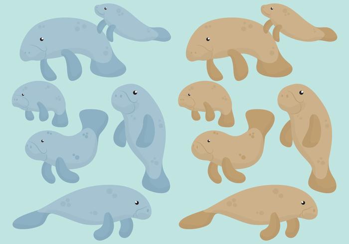 Cute Manatees vector