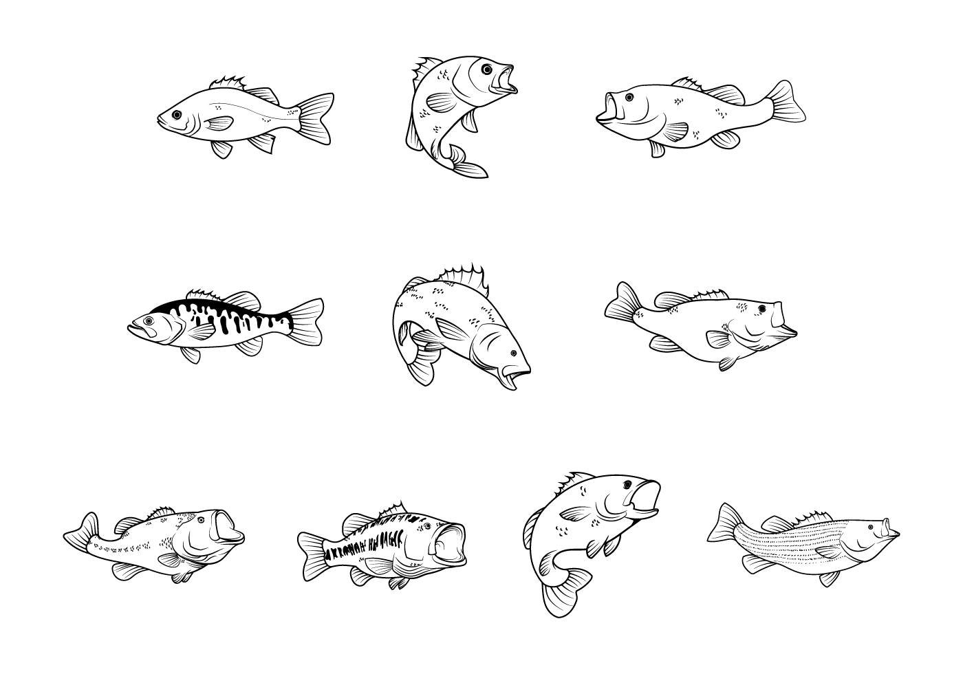 Download Free Bass Fishes Vector - Download Free Vectors, Clipart ...