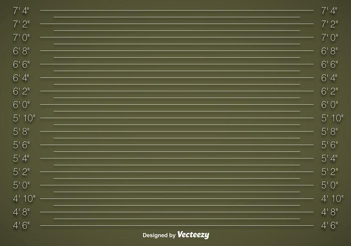 Vector Mugshot Background