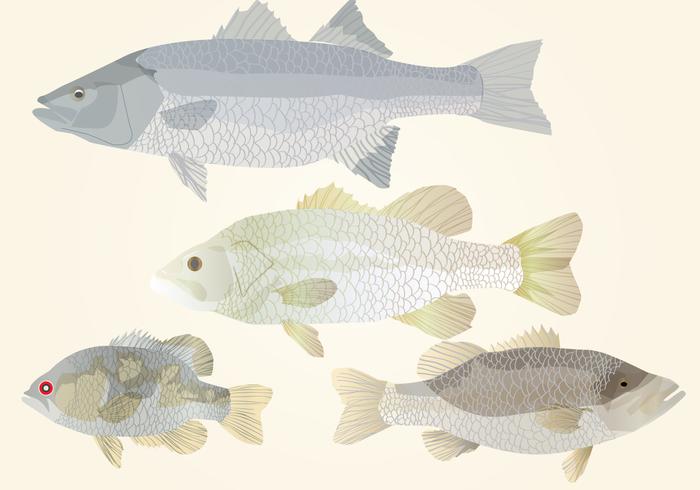 Set Of Fishes vector