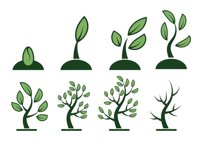 growing up clipart growing up clipart
