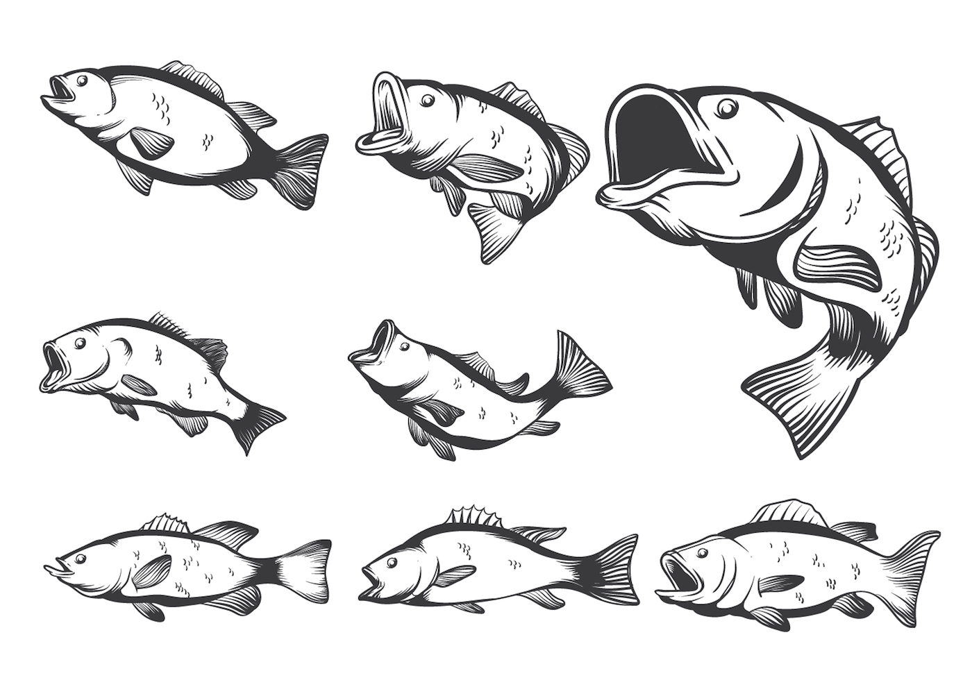 Free Free 337 Outline Bass Fish Svg SVG PNG EPS DXF File