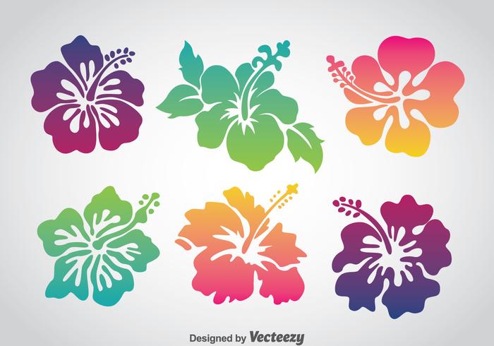 Colorful Hawaii Flower Vector Set