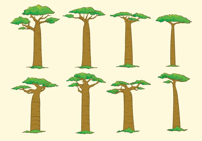 Arbol del baobab vector