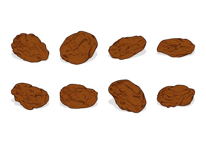 Hand Drawing Raisins Vector