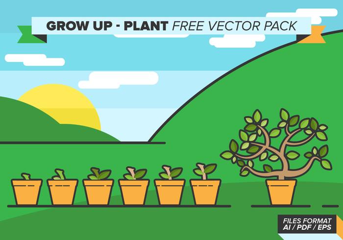 Grow Up Plant Free Vector Pack Grow Up Plant Free Vector Pack
