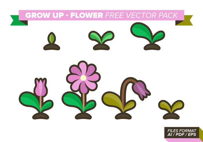 Grow Up Flower Free Vector Pack Grow Up Flower Free Vector Pack