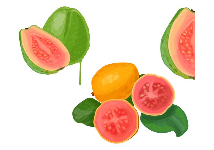 Guava Guava