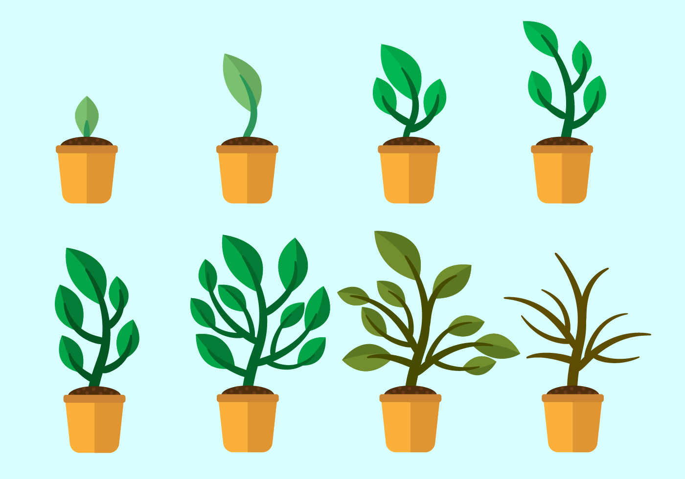 Grow Up Plants Vector - Download Free Vector Art, Stock ...
