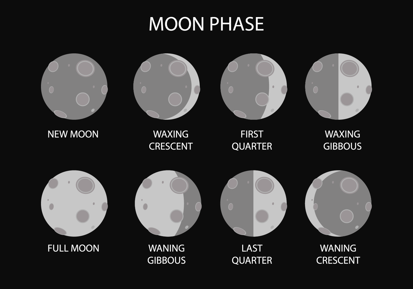 Moon states. Фазы Луны. 8 Фаз Луны. Луна фазы Луны. Луна в разных фазах.