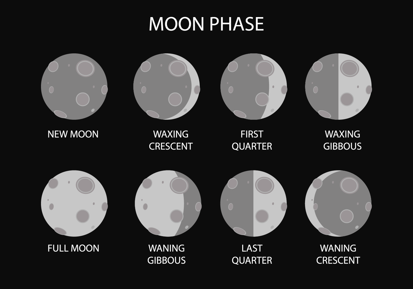 Download Free Moon Phase Vector for free.