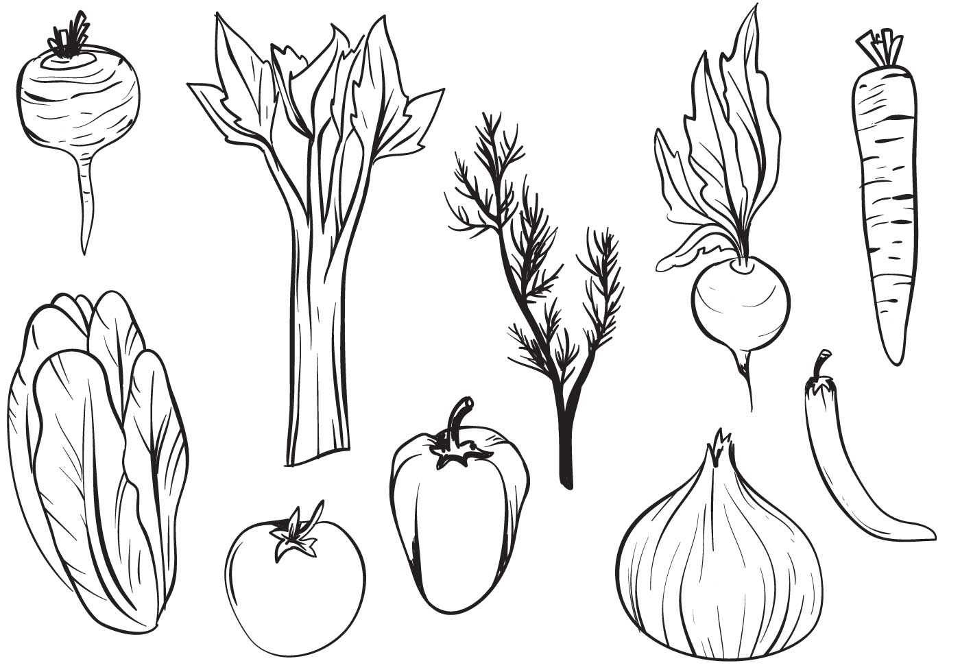 Hand Drawn Vegetables Vectors 112889 - Download Free Vectors, Clipart