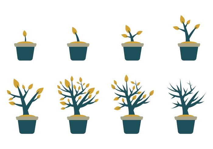 Free Grow Up Plant Vector