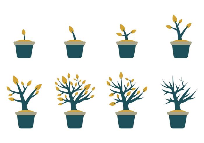 Free Grow Up Plant Vector Free Grow Up Plant Vector
