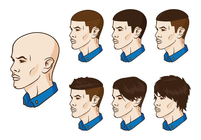 El pelo del vector crece para arriba