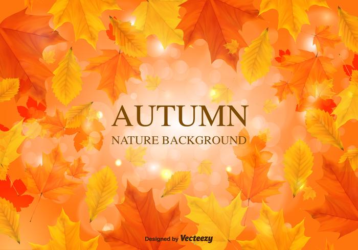 Fall Background Vector Leaves