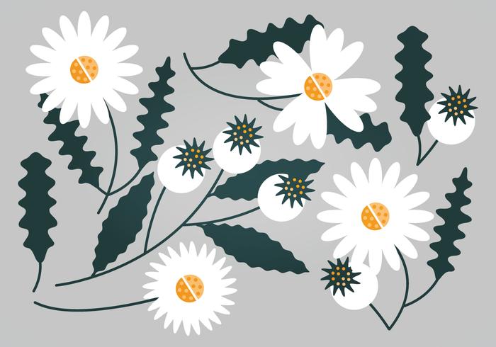 Vector conjunto floral blanco