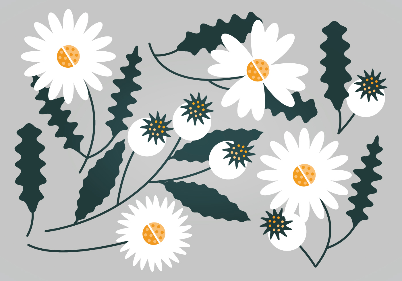 Download Vector White Floral Set 113147 - Download Free Vectors ...