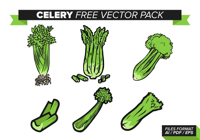 Celery Free Vector Pack Celery Free Vector Pack