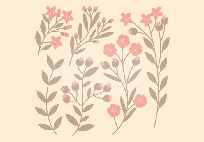 Pink and Brown Vector Floral Set