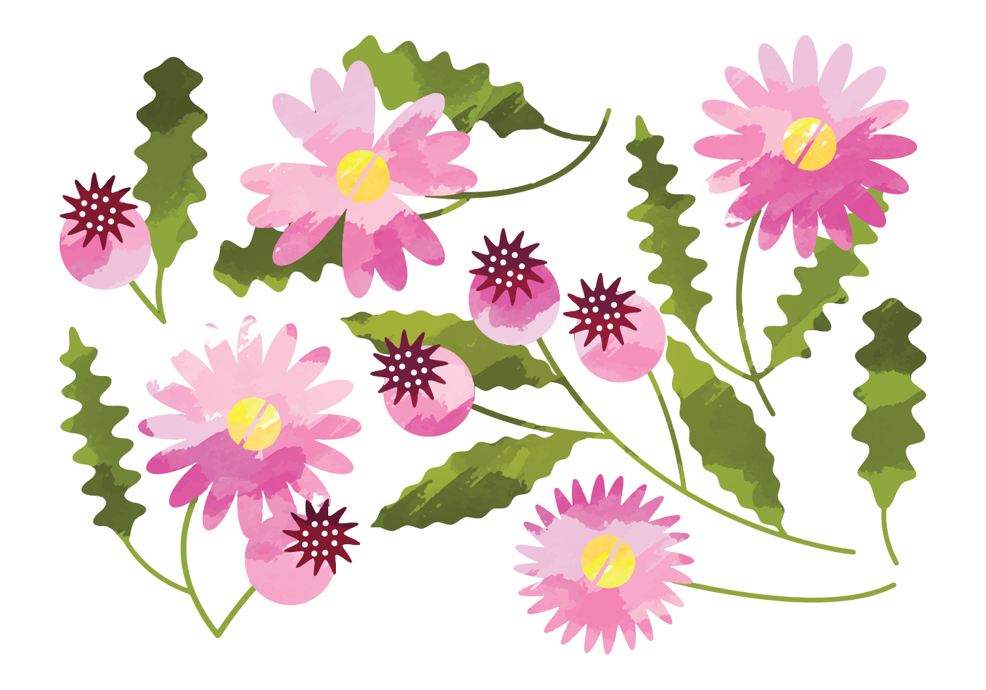 Download Vector Watercolor Daisy Flower Elements - Download Free ...