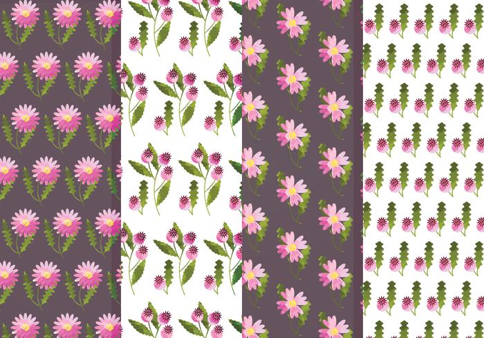 Conjunto de patrones de flor y rosa mosqueta vector