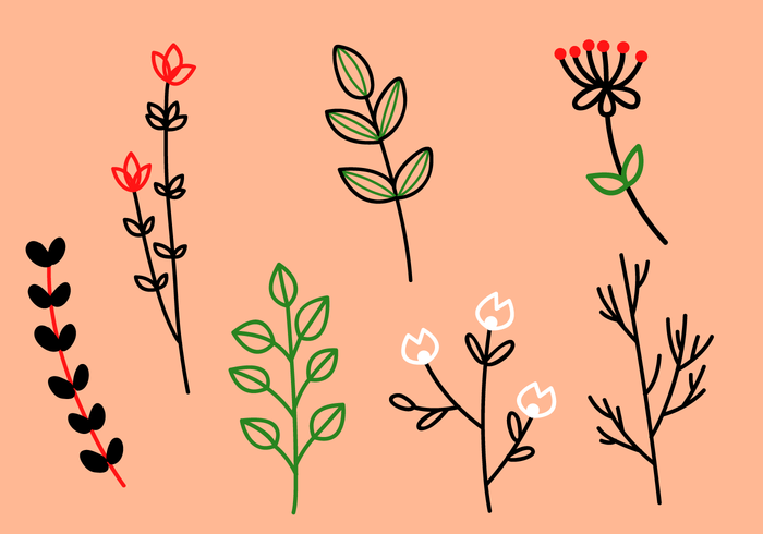 Vectoriales de elementos florales libres vector