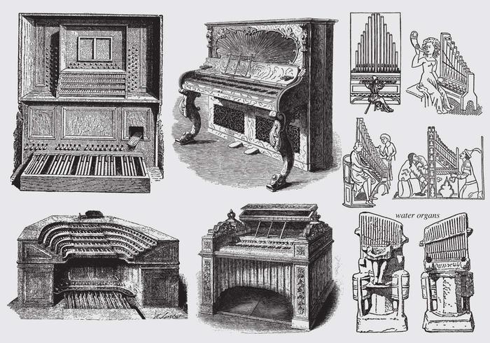 Ancient Pipe Organs vector
