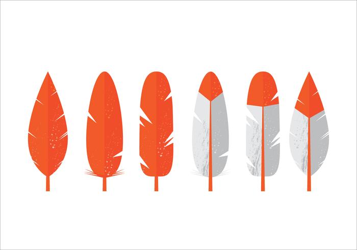 Vector Feathers Vector Feathers