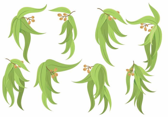 Eucalyptus Icon Set vector