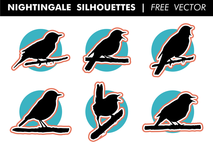 Nightingale siluetas vector libre