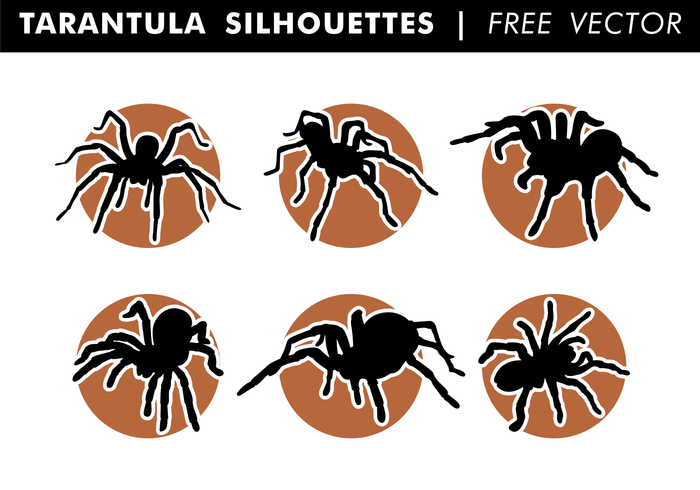 Tarantula Silhouettes Free Vector