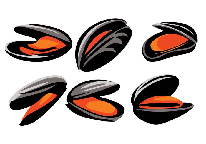 Mussel Vector