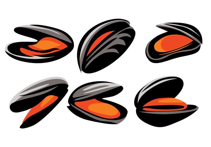 Mussel Vector