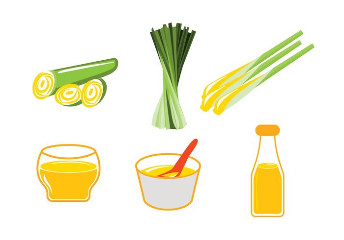 Lemongrass vector