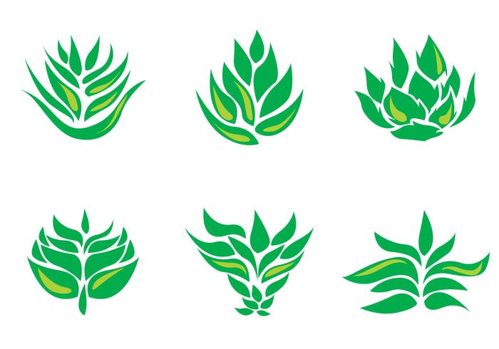 Maguey Vector Icons