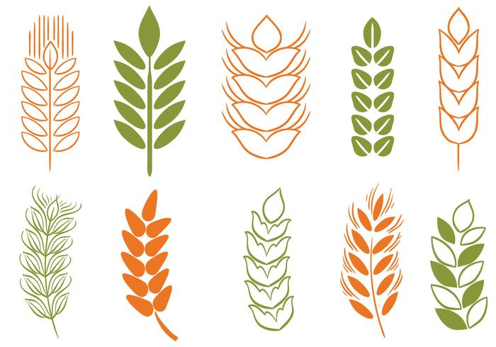 Free Wheat Stalk  2 Vectors